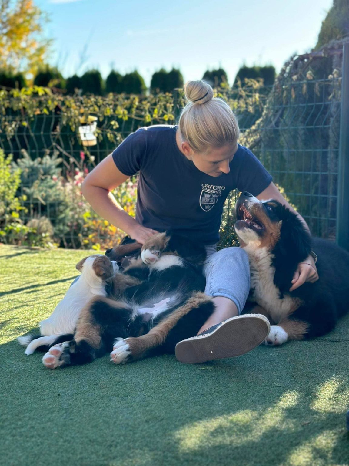 About the kennel visits Jacks & Bears